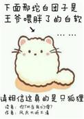 你尾巴戳到我了txt百度