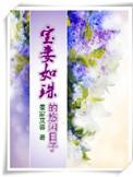 宝妻的