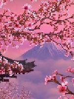 妖神记羽焰最强阵容搭配