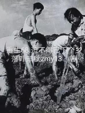 迫不得已下个乡李梅、白静