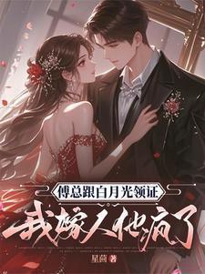 我嫁人他疯了第