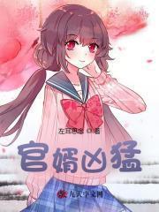 官婿凶猛赵阳阅读